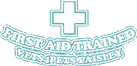 first aid logo