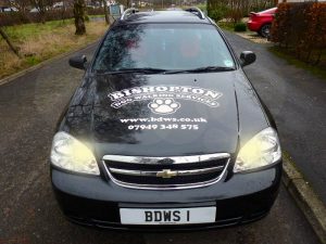 dog walking car