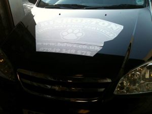 Getting stickers for my car!