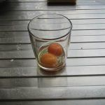 3 2 egg yolks
