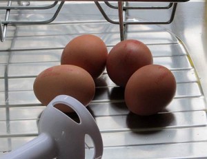 4 eggs