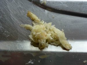 garlic one clove of garlic