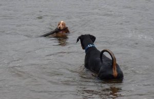 "Bring it a bit closer Penny!"