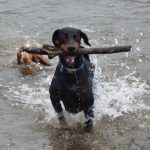 Rory taking stick of Penny