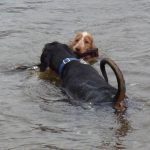 Rory takes stick from Penny