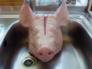 wash pigs head butchered pig head