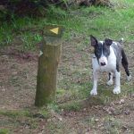 Wilfred makes sure we know where to go!  Thanks!