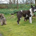 The chaps enjoyin Finlaystone gardens
