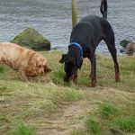 Something smells interesting!