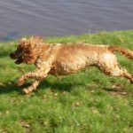 Jay on the run!
