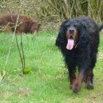 Ami panting!