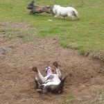 Yeah, that sand feels good!