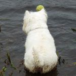 Mack wants the ball!