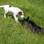 Nevis and Skye!