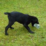 Beau with plastic bottle
