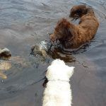 Ruby has two new admirers