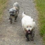 Ruffles and Mack!