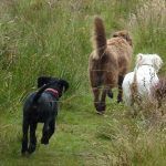 Beau catches up with Ruby and Mack!
