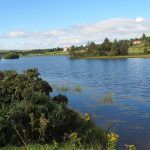 I loved being a dog walker in Kilmacolm!