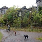 The ruins of Craigend Castle