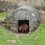 Ruby investigates!