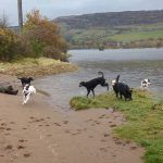 We've just arrived at Erskine beach!