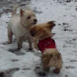 Broxi finds a friend in Mack!