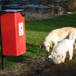 dogs next to poo bin