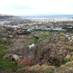 The Parklea coastline