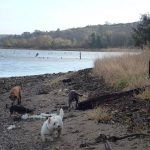 parklea beach port glasgow