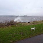 stormy river clyde
