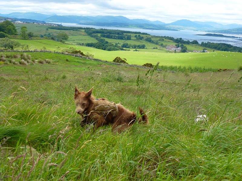 We’re at the top of Langbank!