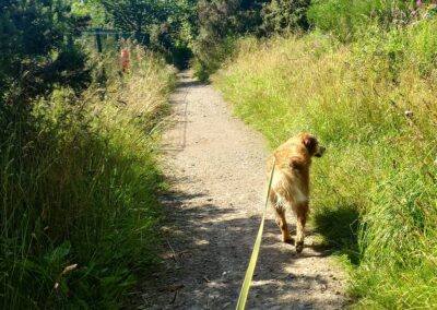 walking the clyde coastal path