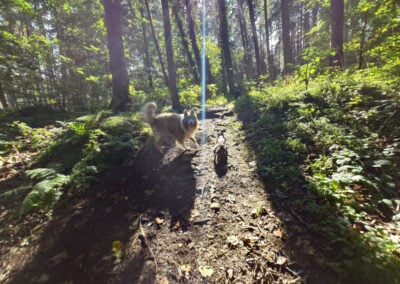 a trail in finlaystone country park