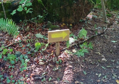 the yellow trail sign
