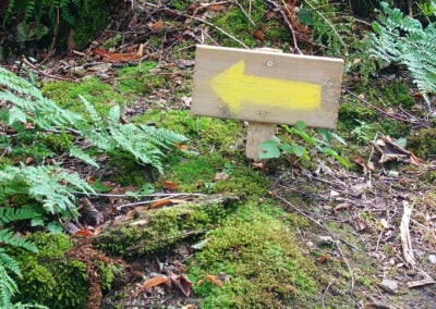 a yellow trail sign