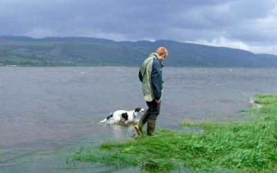 dog-walker-walking-dog-at-clyde-in-erskine