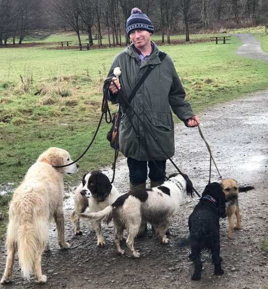 dog walker with dogs