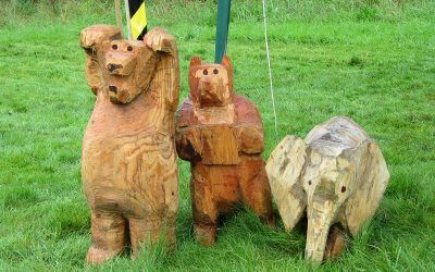 My chainsaw carvings chainsaw carved animals