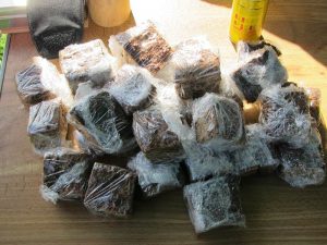 Liver and kidney cake dog treats