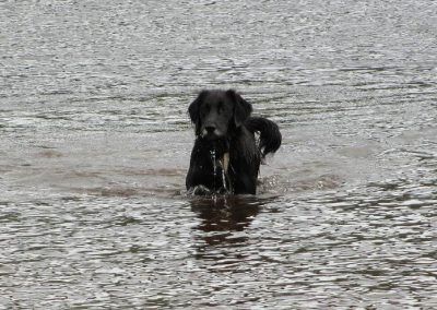 Sasha in river