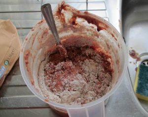 a just with liver and kidney thats been blended