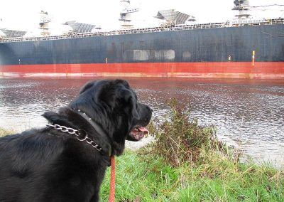 CHUETSU MARU cargo ship