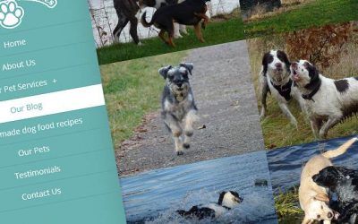 dog walking website dog walking website