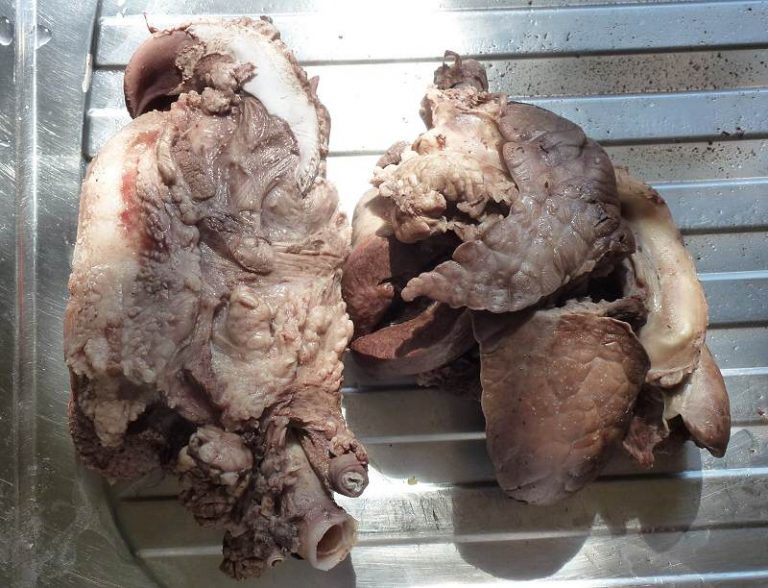 Remove offal from pot