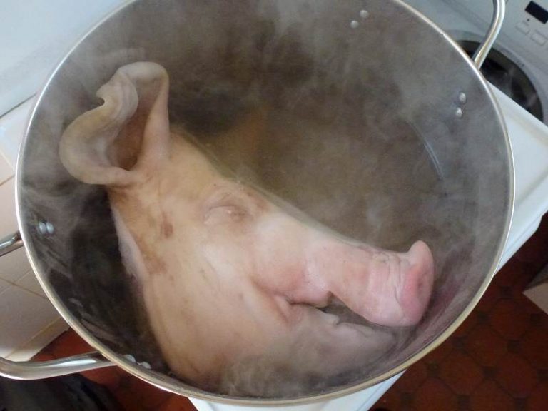 pig head in pot