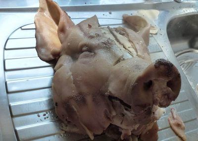 boiled pigs head