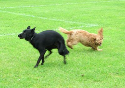 Patch runs from Jay!