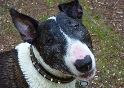 Wilfred posting for a photo in Finlaystone