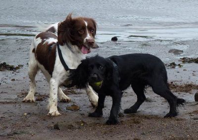 Duffy guards the ball!
